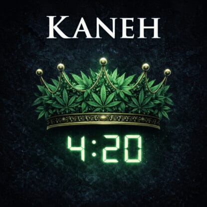 ENTH3-REVJC-KAN-MOV01-2019 — KANEH MOVIE RAPTURE AT420 Album Cover