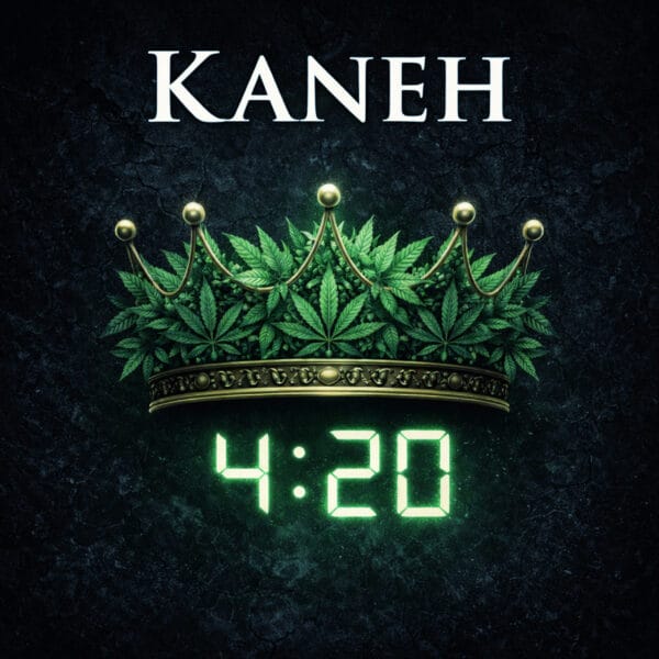 ENTH3-REVJC-KAN-MOV01-2019 — KANEH MOVIE RAPTURE AT420 Album Cover